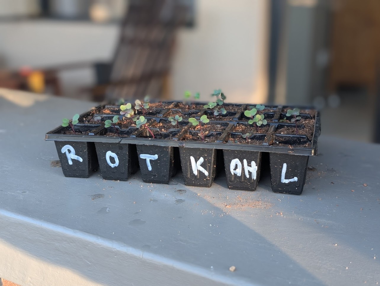 Hands-on training in sustainable agriculture