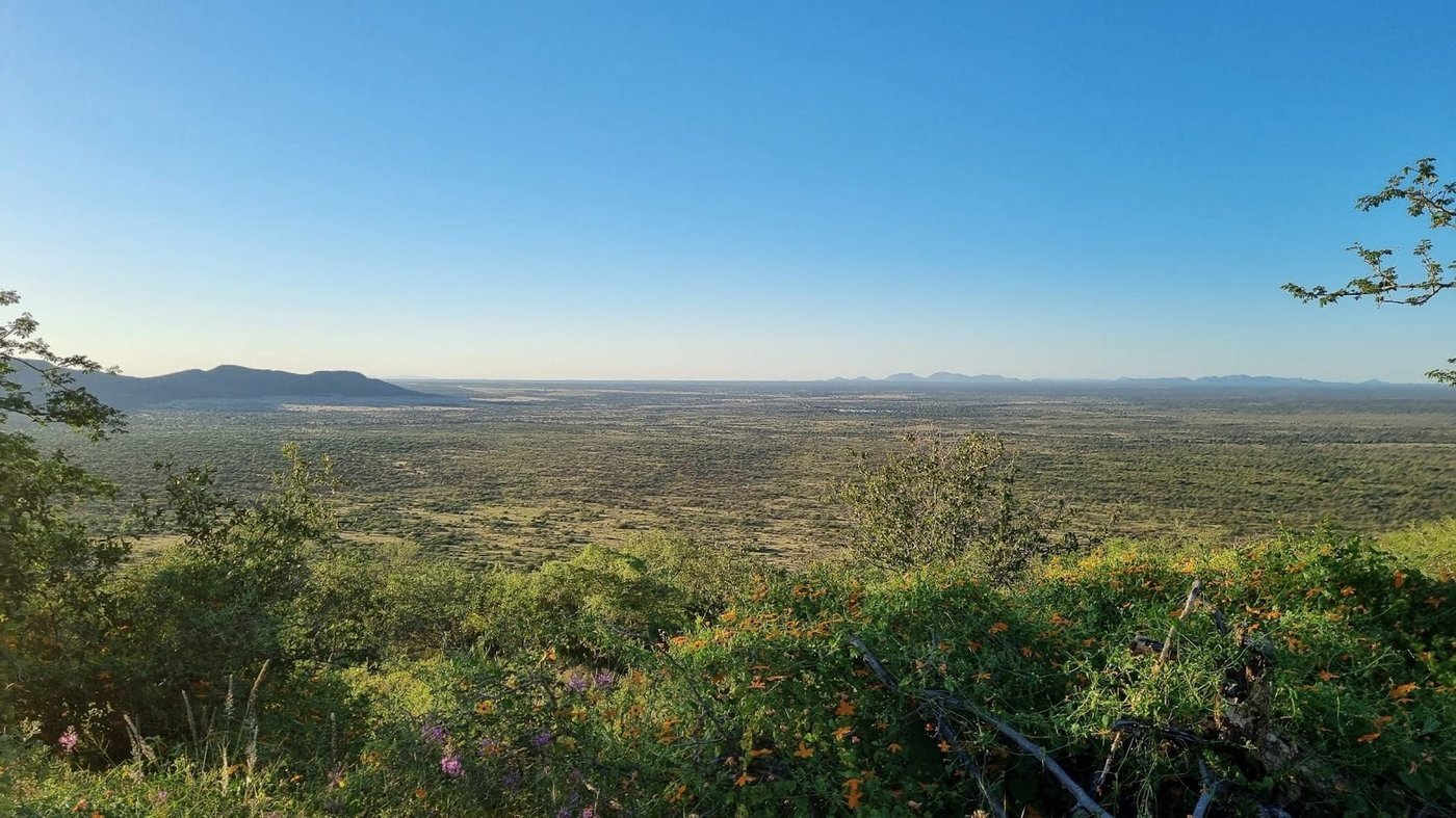 Namibian landscape — habitat for wildlife